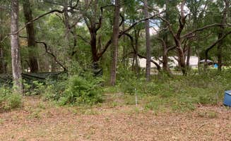 Dezarae H.'s photo at Woodland Nesters near Inglis, FL