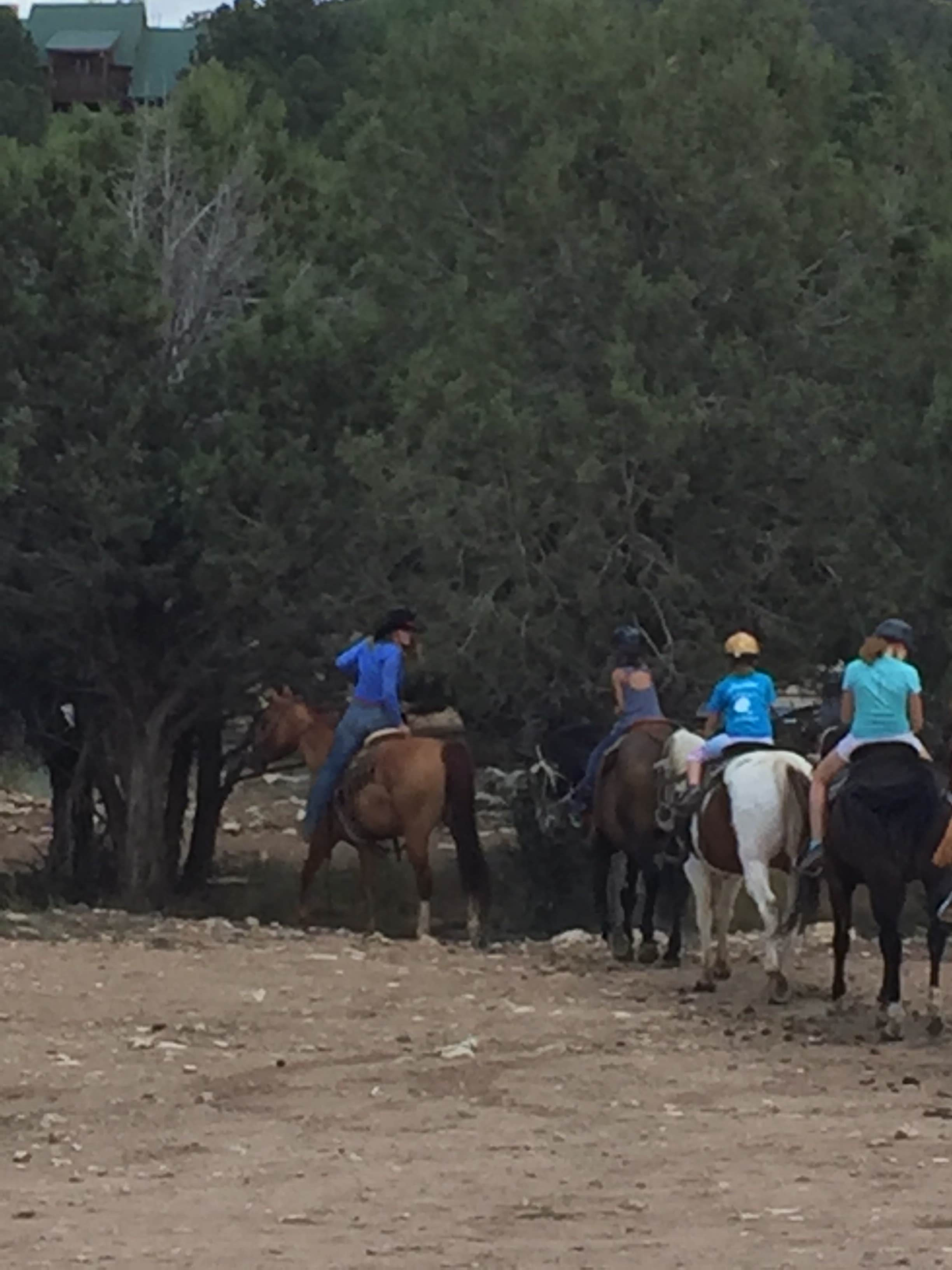 David G.'s photo of camping with a horse at Zion Ponderosa Ranch Resort near Parowan, UT