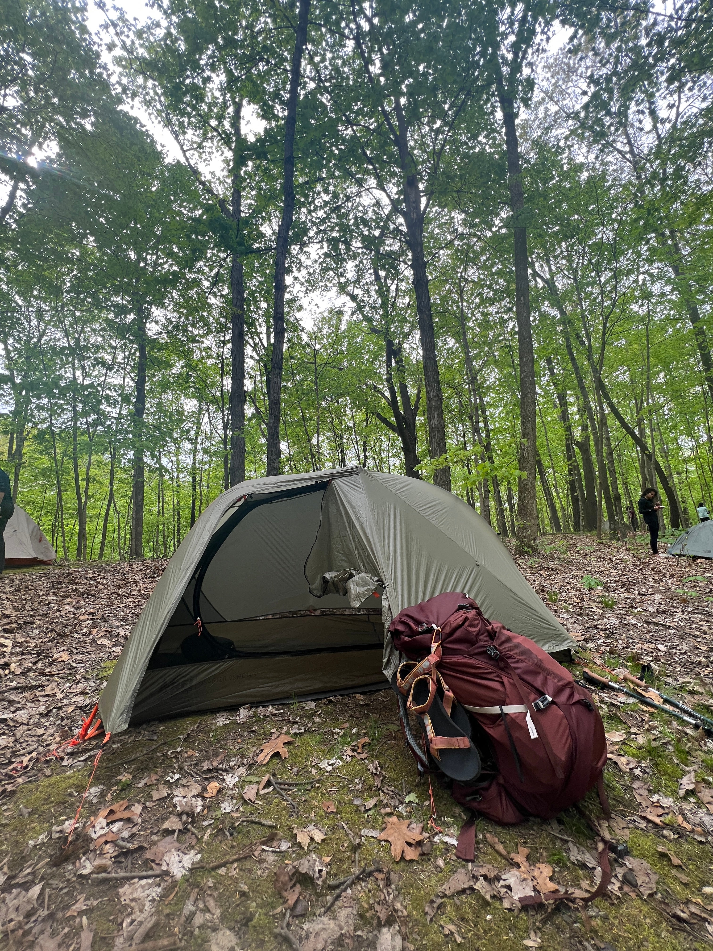 Camper submitted image from Vermilion County Park Forest Glen Preserve - 1