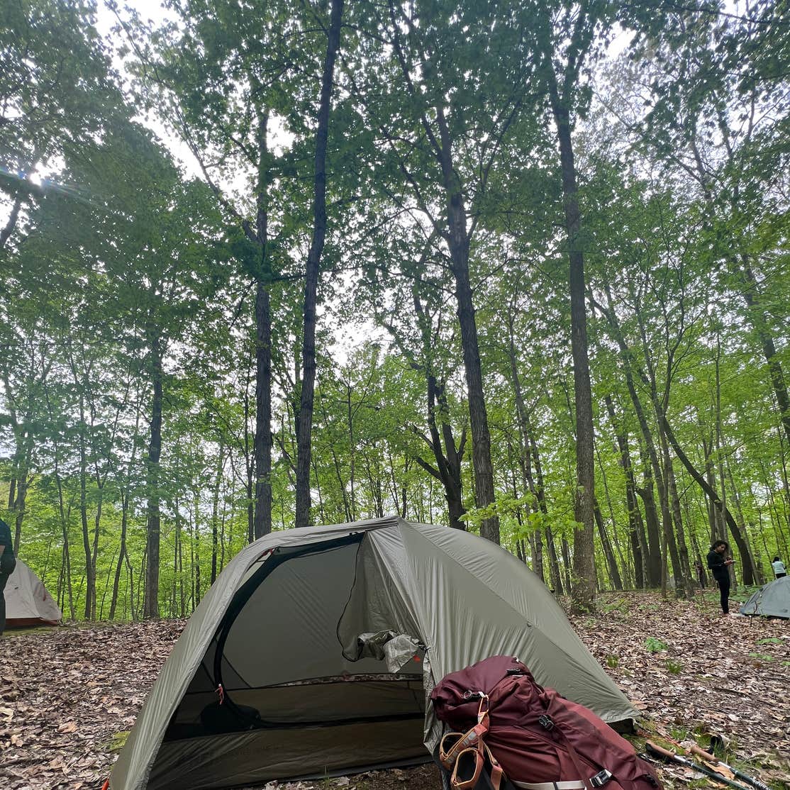 Vermilion County Park Forest Glen Preserve Camping | Westville, IL