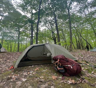Camper-submitted photo from Vermilion County Park Forest Glen Preserve