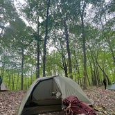 Review photo of Vermilion County Park Forest Glen Preserve by Janet B., May 9, 2023