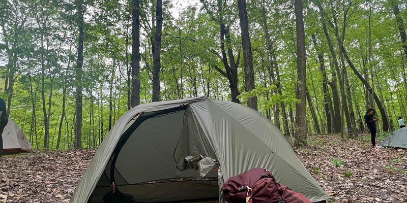 Camper submitted image from Vermilion County Park Forest Glen Preserve