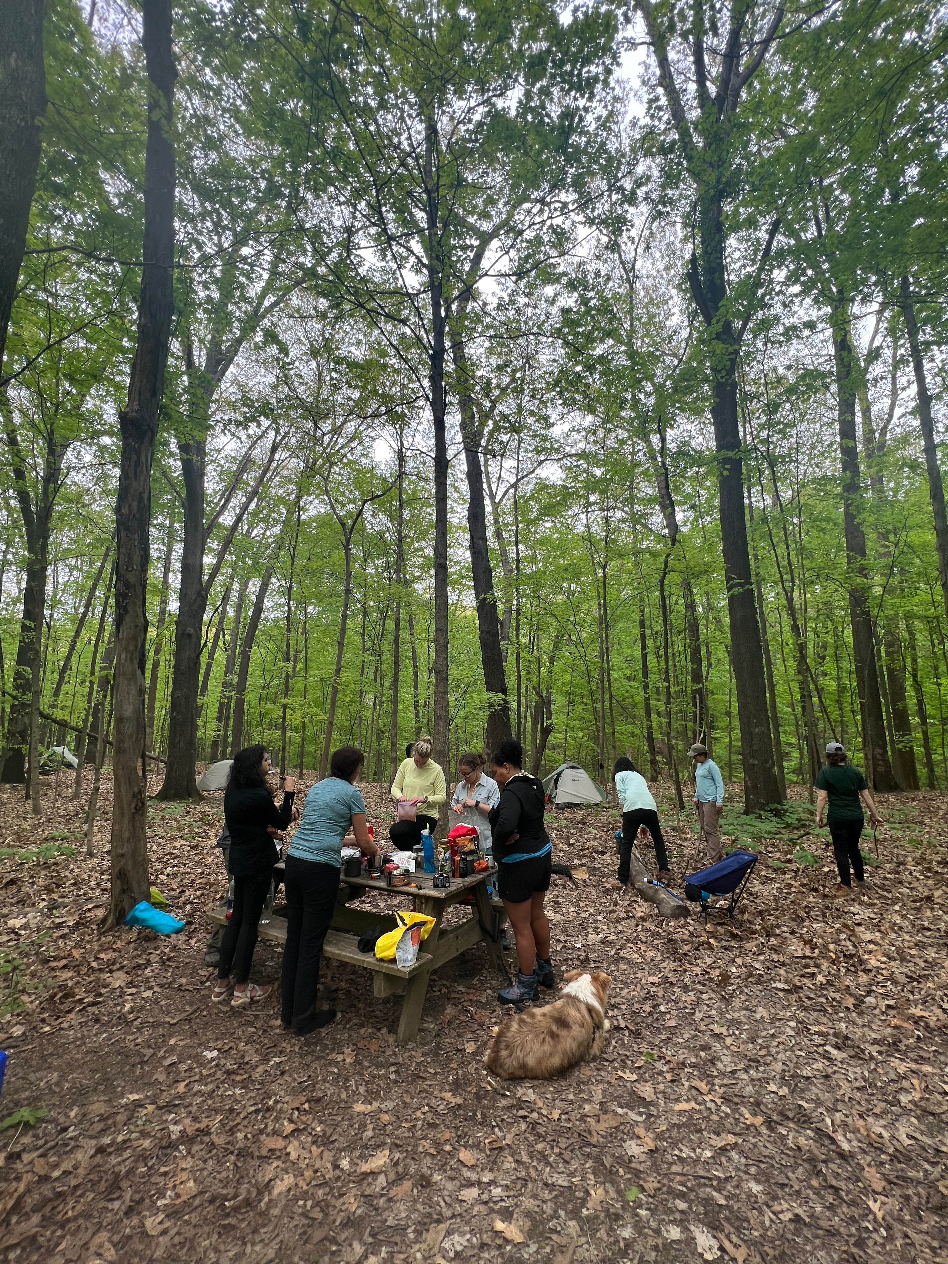 Camper-submitted photo at Vermilion County Park Forest Glen Preserve near Danville, IL