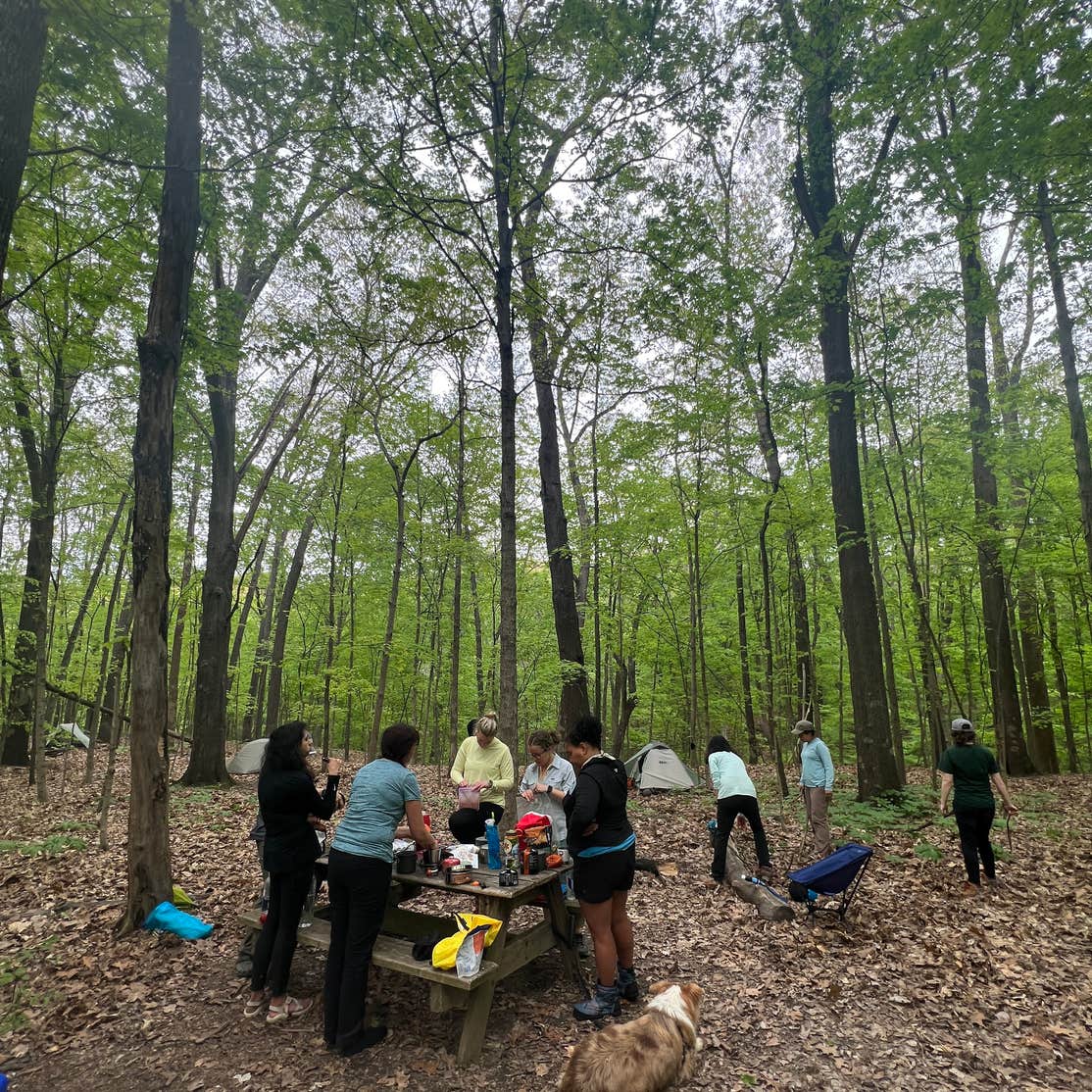 Vermilion County Park Forest Glen Preserve Camping | Westville, IL