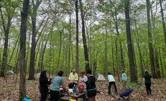 Janet B.'s photo of camping with pets at Vermilion County Park Forest Glen Preserve near Oakwood, IL