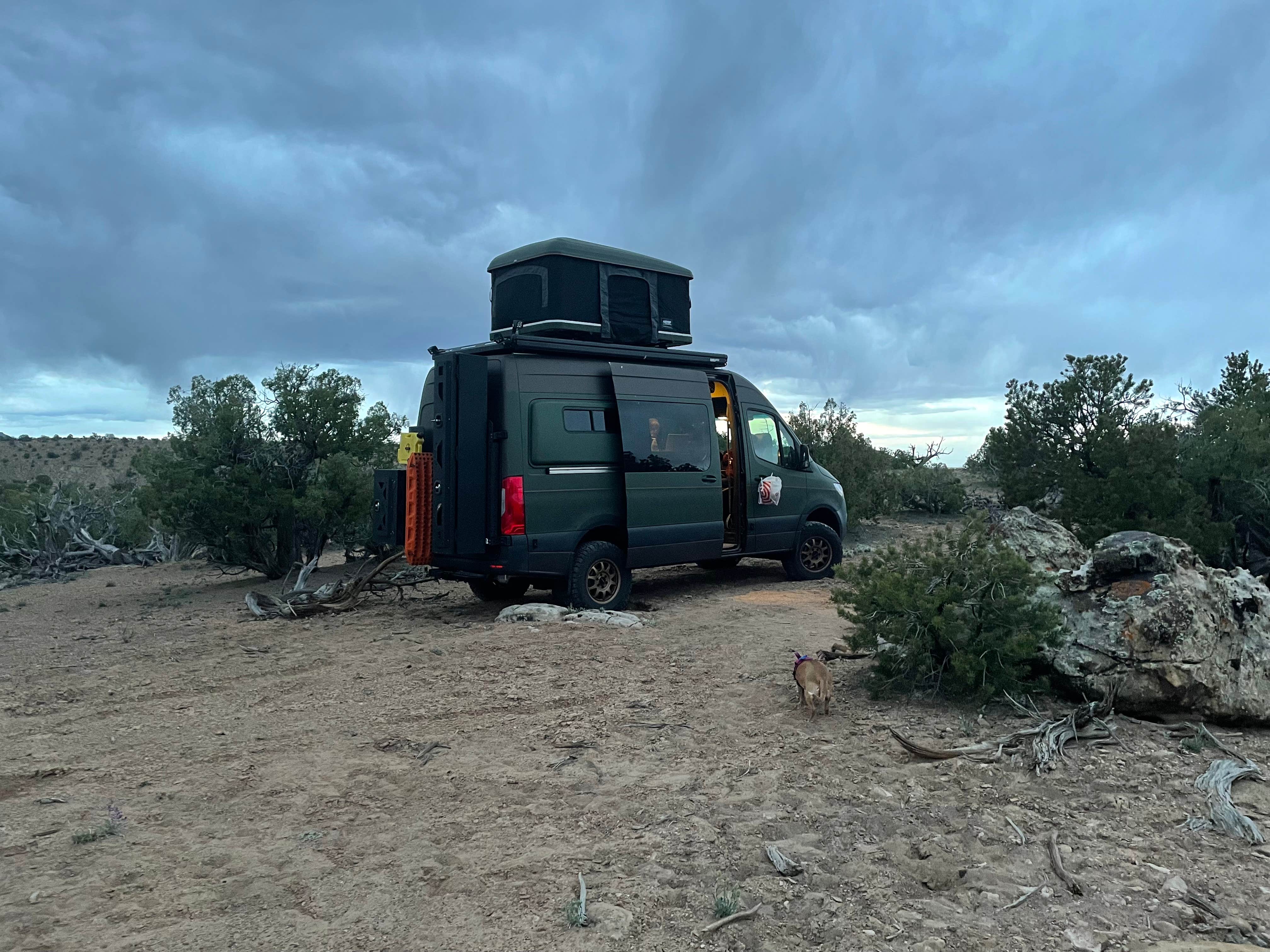 ryan S.'s photo of camping with pets at Horse Canyon Road - Dispersed Open Area near Wellington, UT