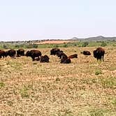 Review photo of Caprock Canyons State Park -  Honey Flat by Randall Z., May 9, 2023