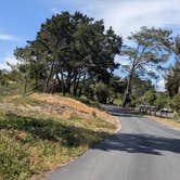 Review photo of Oceano Campground — Pismo State Beach by Laura M., May 9, 2023