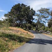 Review photo of Oceano County Campground — Pismo State Beach by Laura M., May 9, 2023