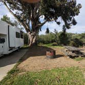 Review photo of Oceano County Campground — Pismo State Beach by Laura M., May 9, 2023