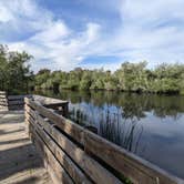 Review photo of Oceano County Campground — Pismo State Beach by Laura M., May 9, 2023