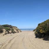 Review photo of Oceano County Campground — Pismo State Beach by Laura M., May 9, 2023