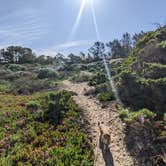 Review photo of Oceano County Campground — Pismo State Beach by Laura M., May 9, 2023