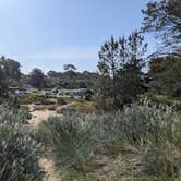 Review photo of Oceano County Campground — Pismo State Beach by Laura M., May 9, 2023