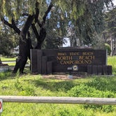 Review photo of North Beach Campground — Pismo State Beach by Laura M., May 9, 2023