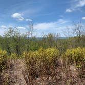 Review photo of Cowans Gap State Park Campground by Laure D., May 9, 2023