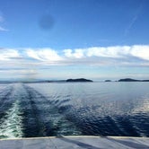 Review photo of Alaska Marine Highway by Kate K., October 9, 2018