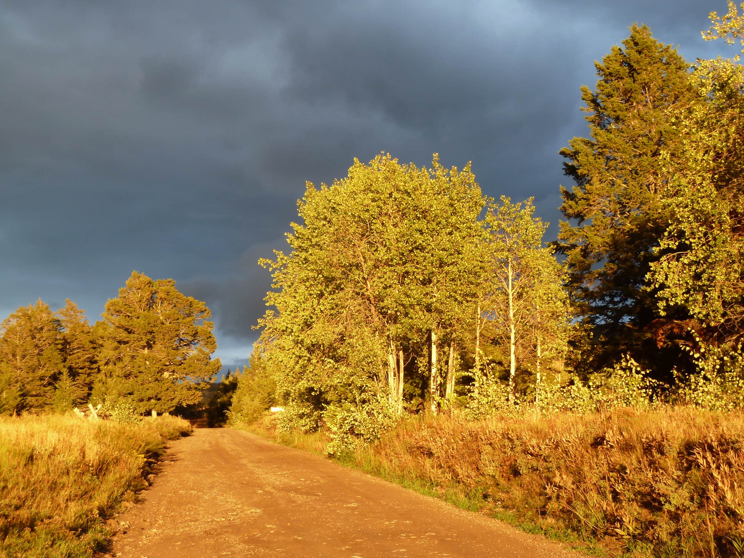 Camper-submitted photo at Curtis Canyon Campground near Jackson, WY