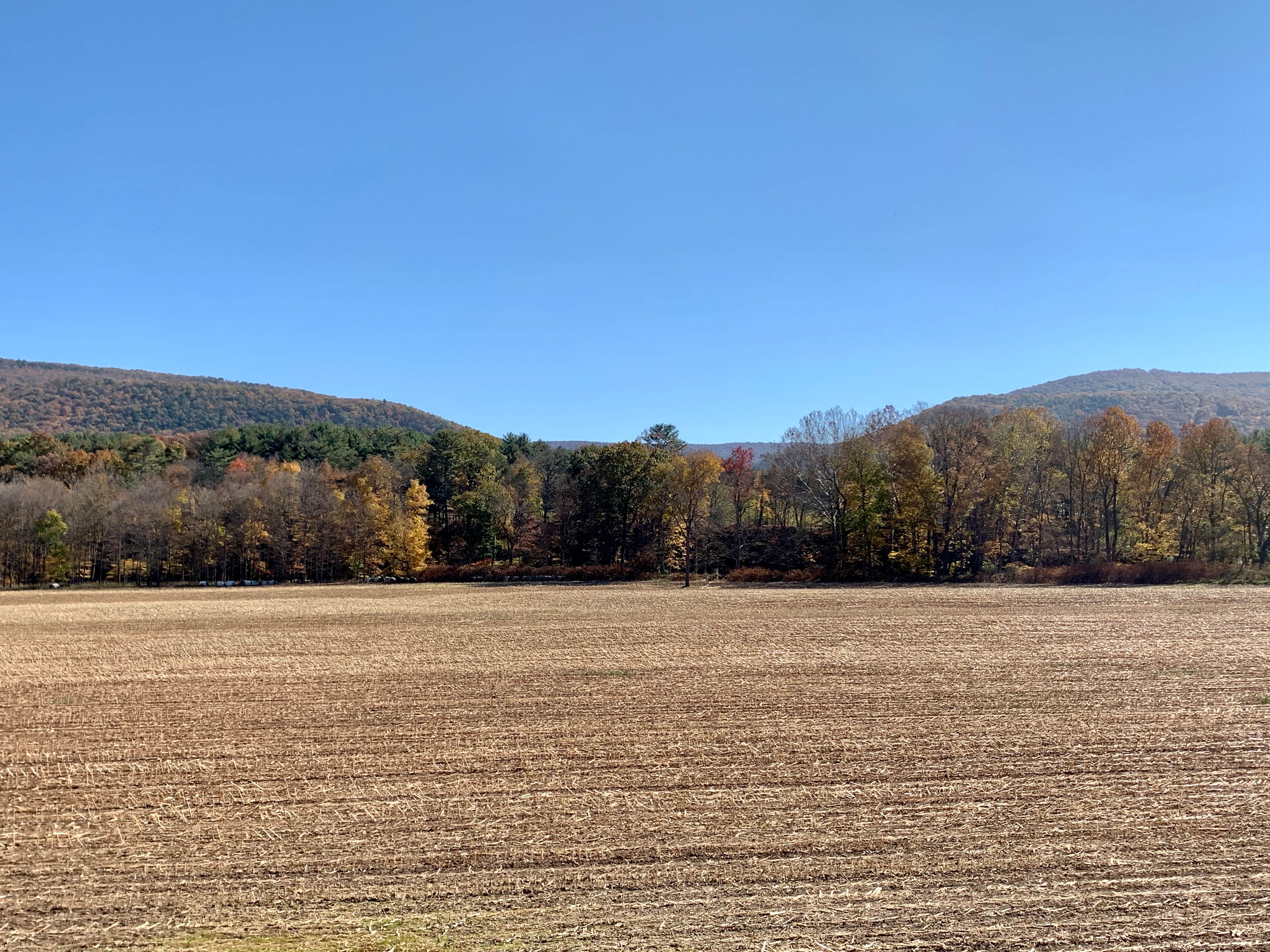 Camping near Riverside Cabins and RV Park: Lost River Campground, Mathias, West Virginia