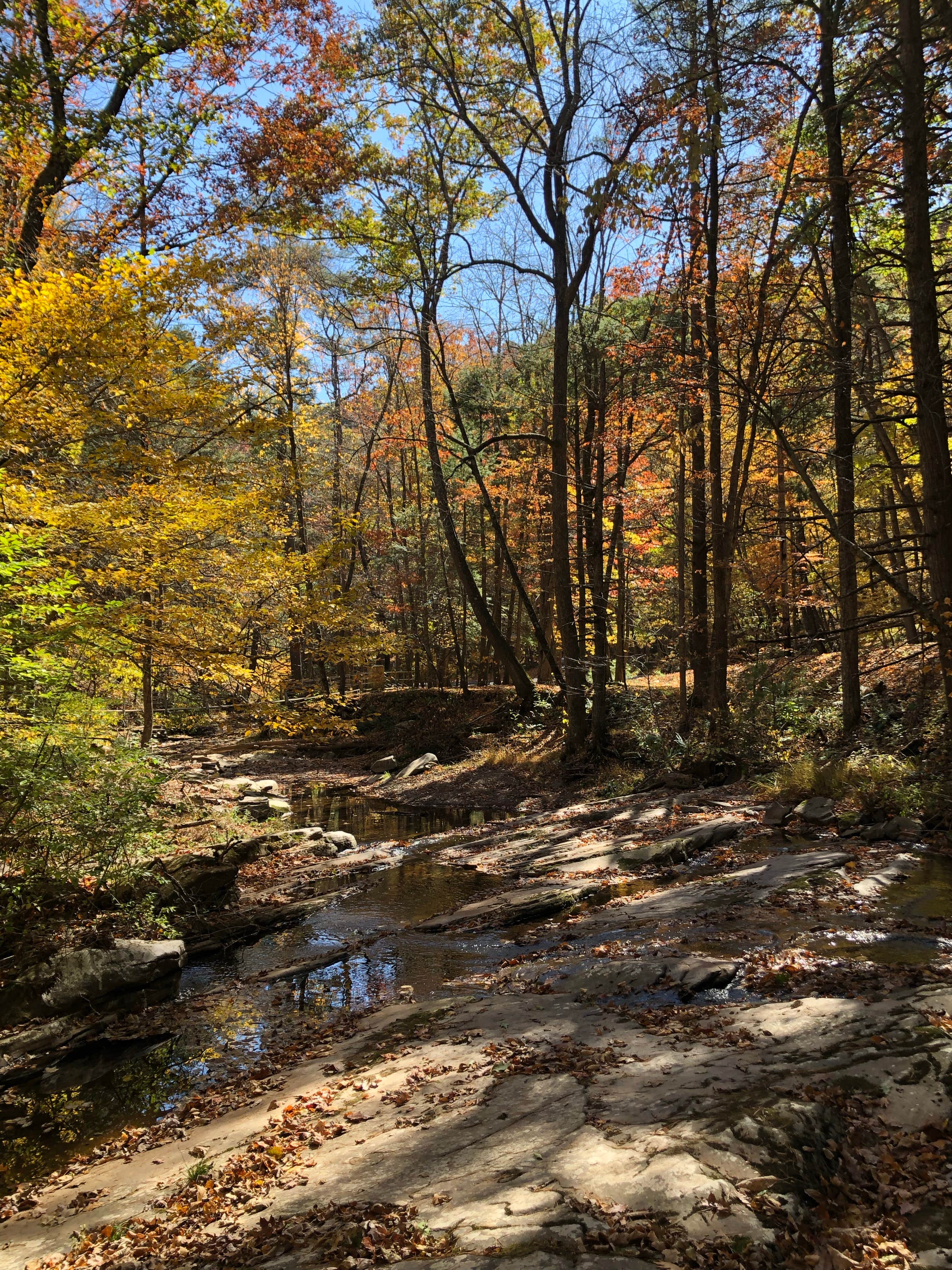 Camper-submitted photo at Lost River Campground near Mathias, WV