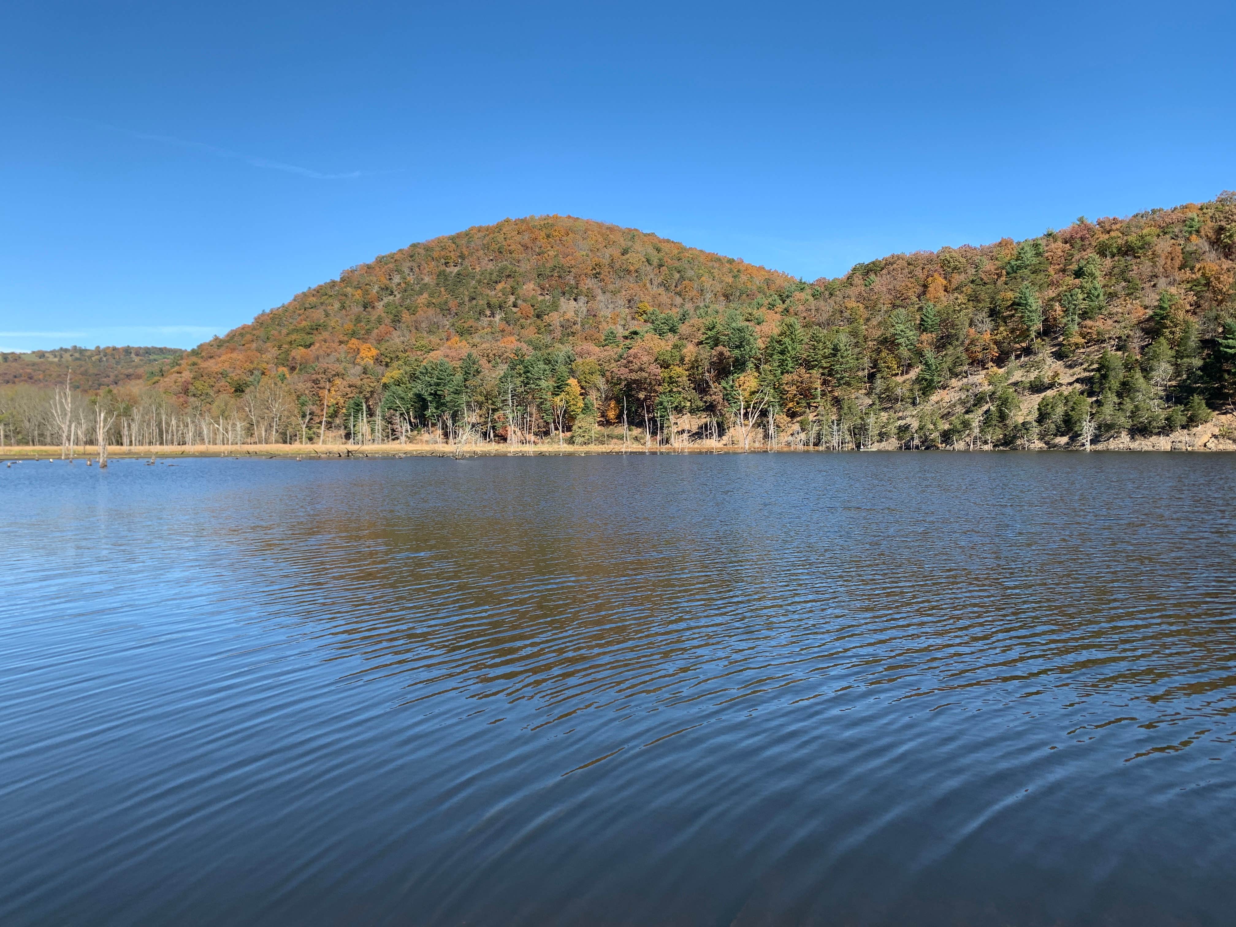 Camper-submitted photo at Lost River Campground near Mathias, WV
