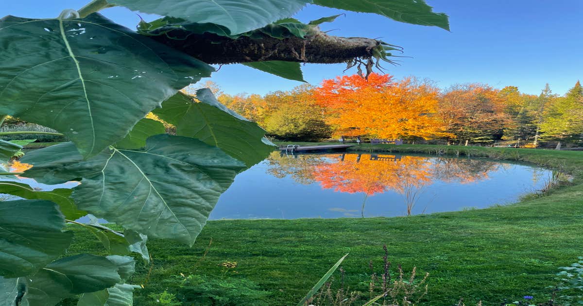 Clyde River Camping Island Pond, VT