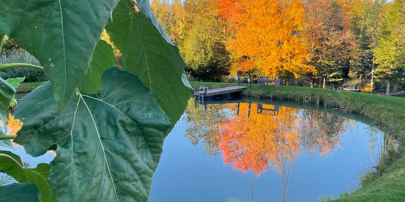 Camper submitted image from Clyde River Camping