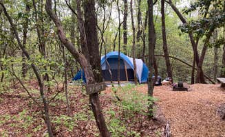 The Dyrt's photo at Ash Grove Mountain Cabins & Camping near Pisgah Forest, NC