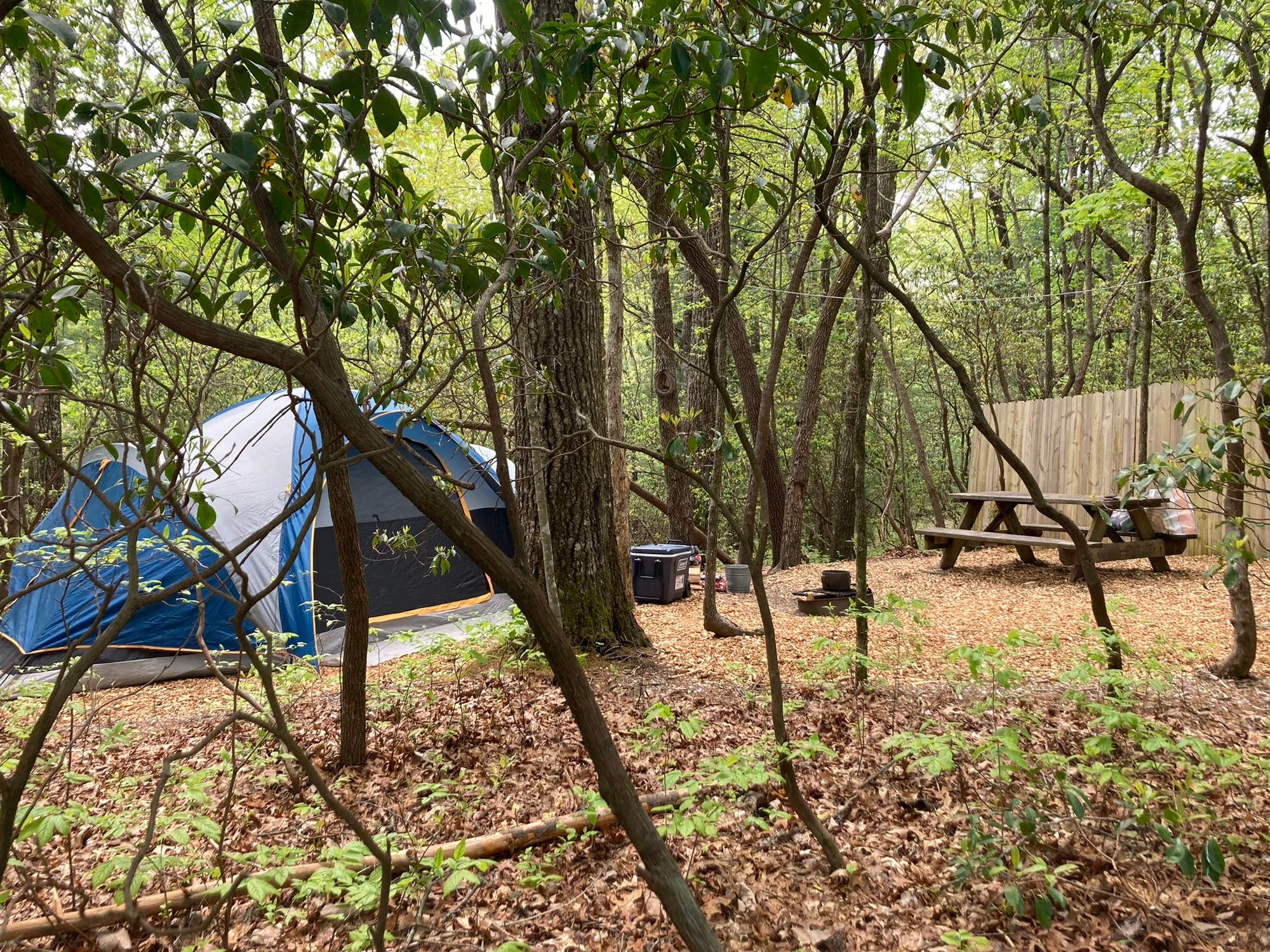 The Dyrt's photo at Ash Grove Mountain Cabins & Camping near Brevard, NC