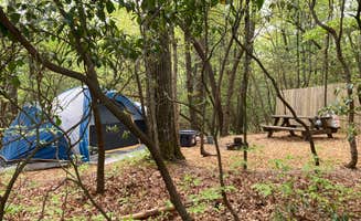 The Dyrt's photo at Ash Grove Mountain Cabins & Camping near Travelers Rest, SC