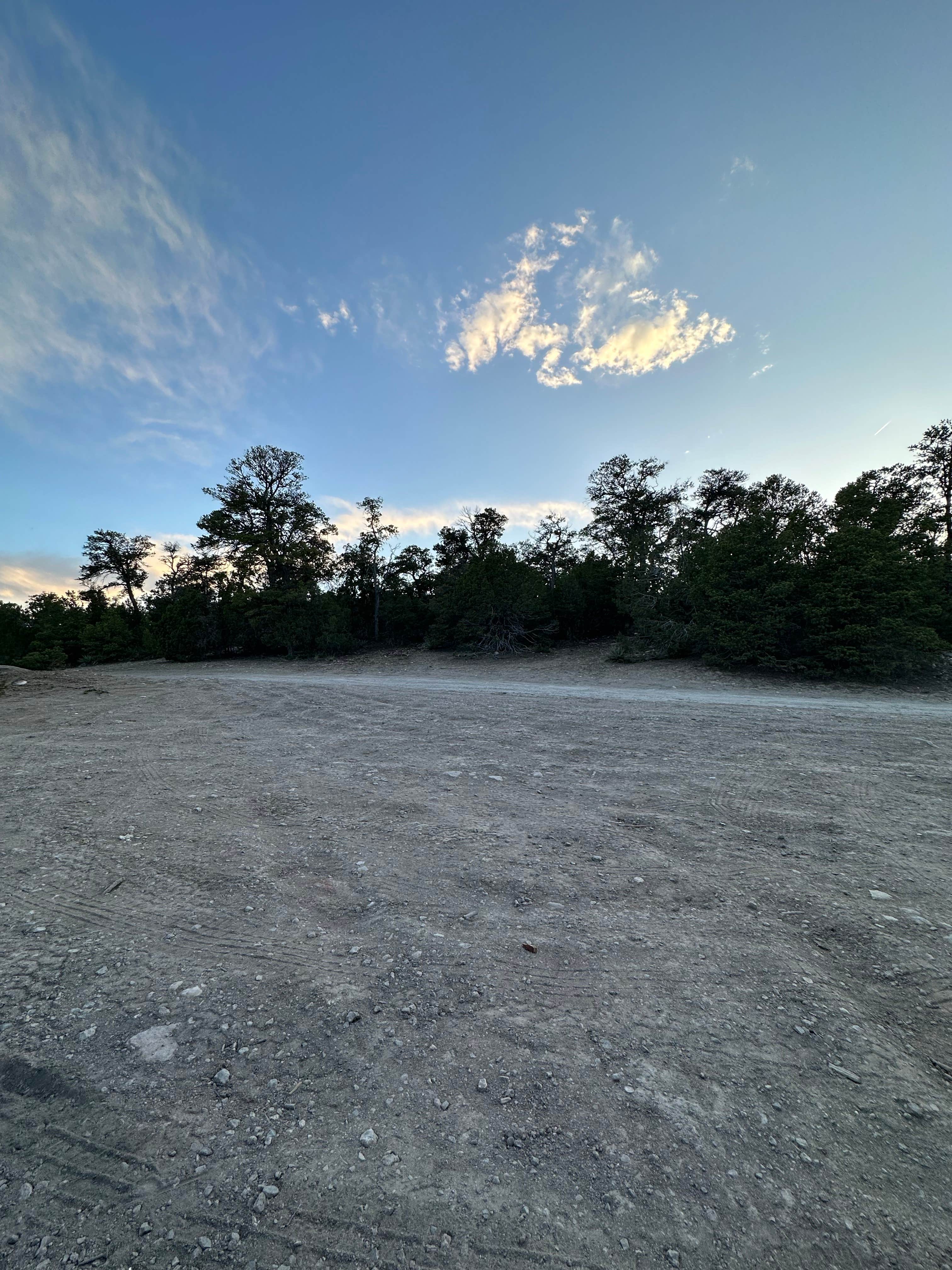 Marshall T.'s photo of a dispersed camping area at Dispersed Camping off FS 542 near Corrales, NM
