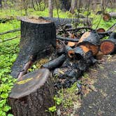 Review photo of Susan Creek Campground by Lee D., May 10, 2023