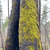 Review photo of Susan Creek Campground by Lee D., May 10, 2023