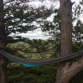 Review photo of Porcupine Mountains Backcountry Camping — Porcupine Mountains Wilderness State Park by Anna C., August 18, 2016