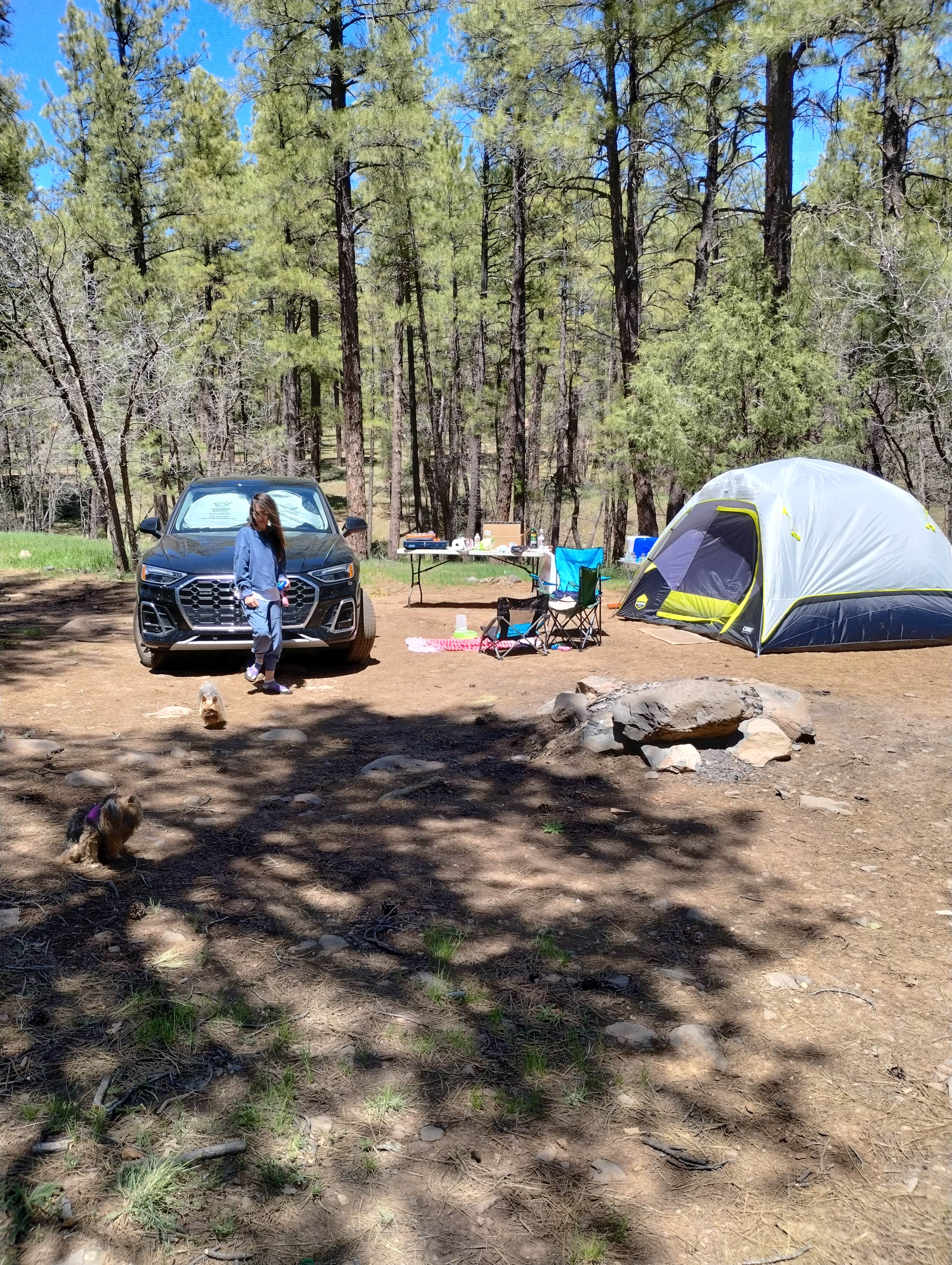 Jarrod F.'s photo of a dispersed camping area at Pumphouse Wash (FR 237) Dispersed Camping Area near Coconino National Forest
