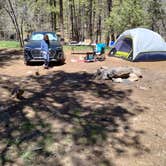 Review photo of Pumphouse Wash (FR 237) Dispersed Camping Area by Jarrod F., May 10, 2023