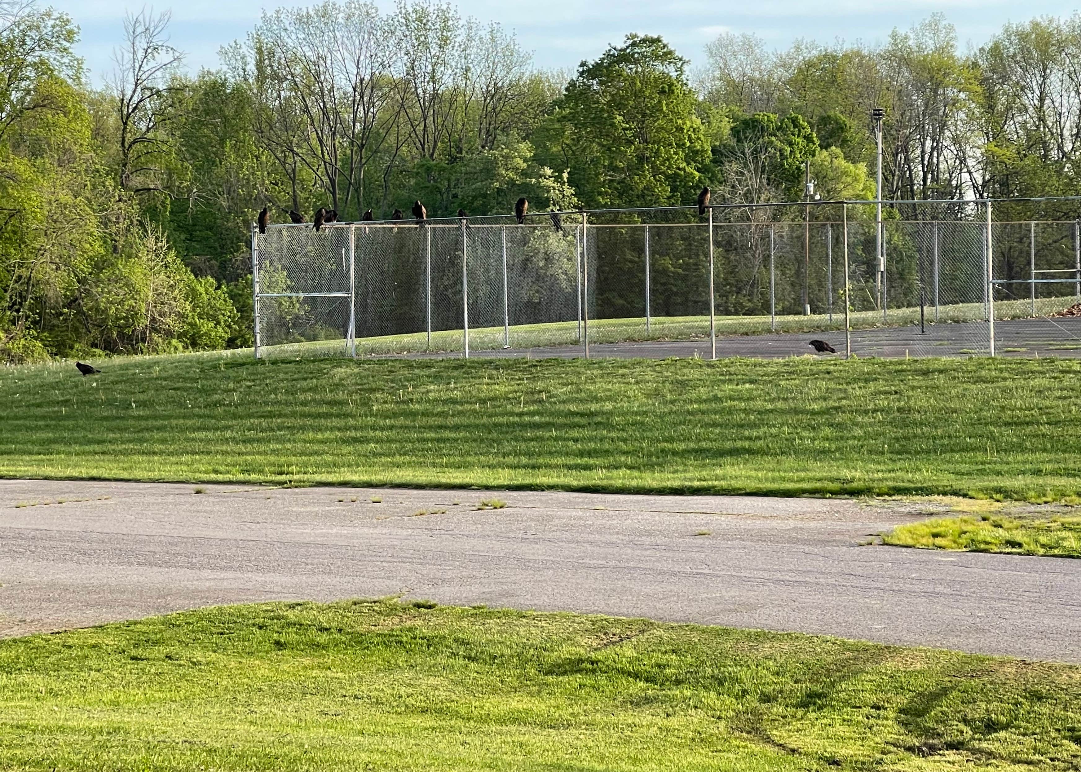 Lake Waveland Park Camping The Dyrt
