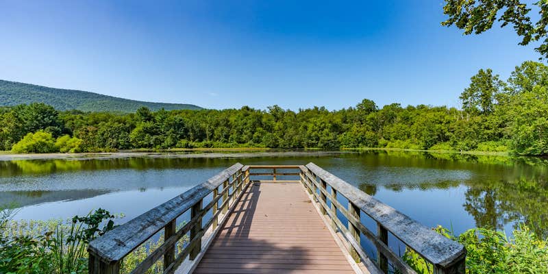 Camper submitted image from River Access Cabin w Hot Tub, Deck, Grill, & Wifi