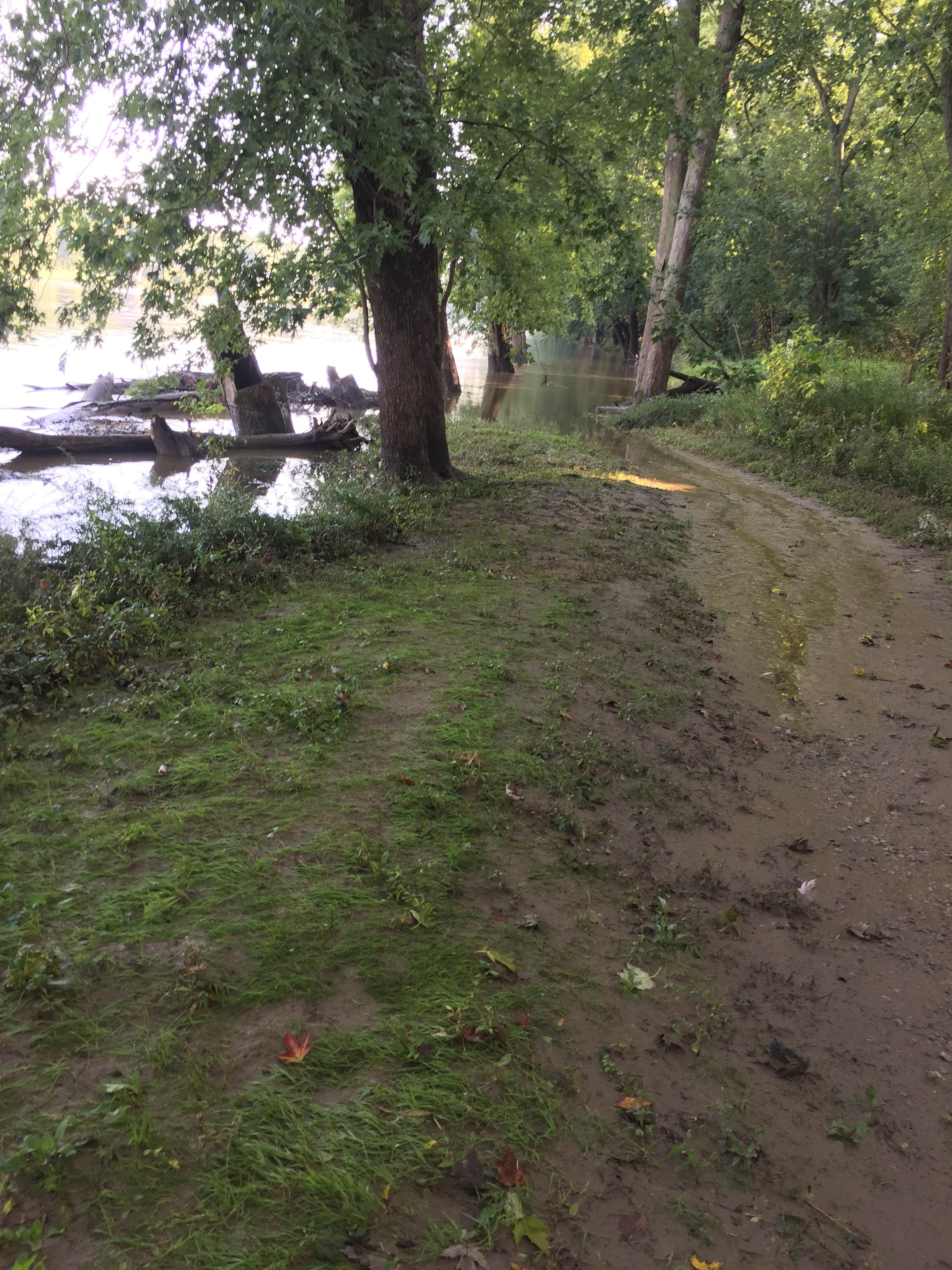 Camper submitted image from Wolfs Leisure Time Campground - 4