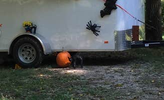 Rhonda B.'s photo of rv camping at Wolfs Leisure Time Campground near Kokomo, IN