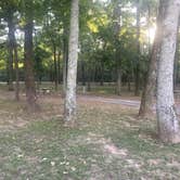 Review photo of Maumelle Park by Alison C., October 9, 2018