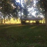 Review photo of Maumelle Park by Alison C., October 9, 2018