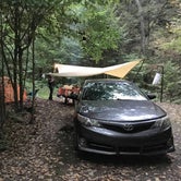 Review photo of Worlds End State Park Campground by Katy R., October 9, 2018