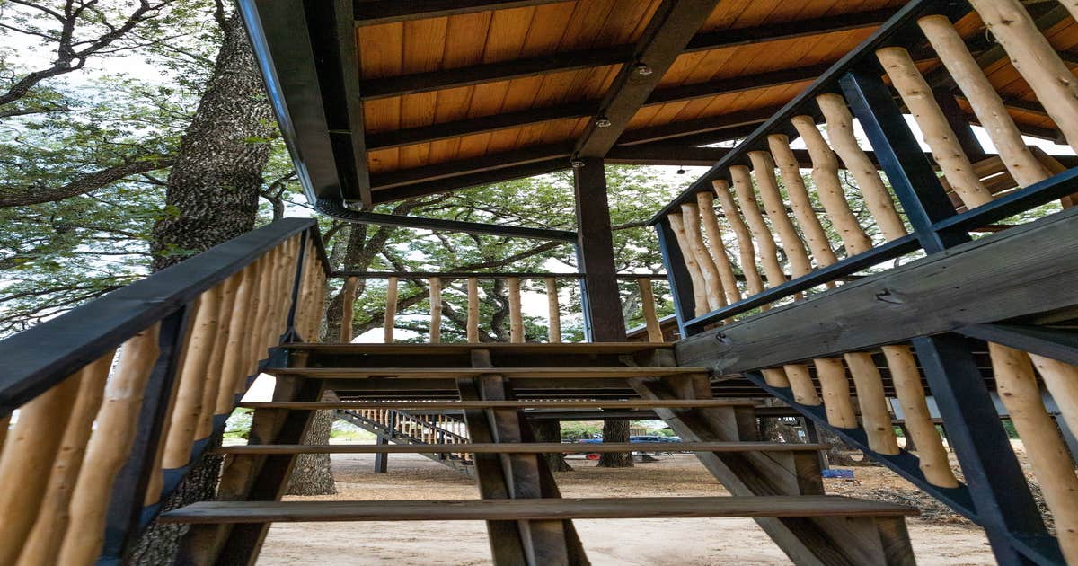 Meadowlark Treehouse (15 MIN to Magnolia/Baylor) Camping Elm Mott, TX