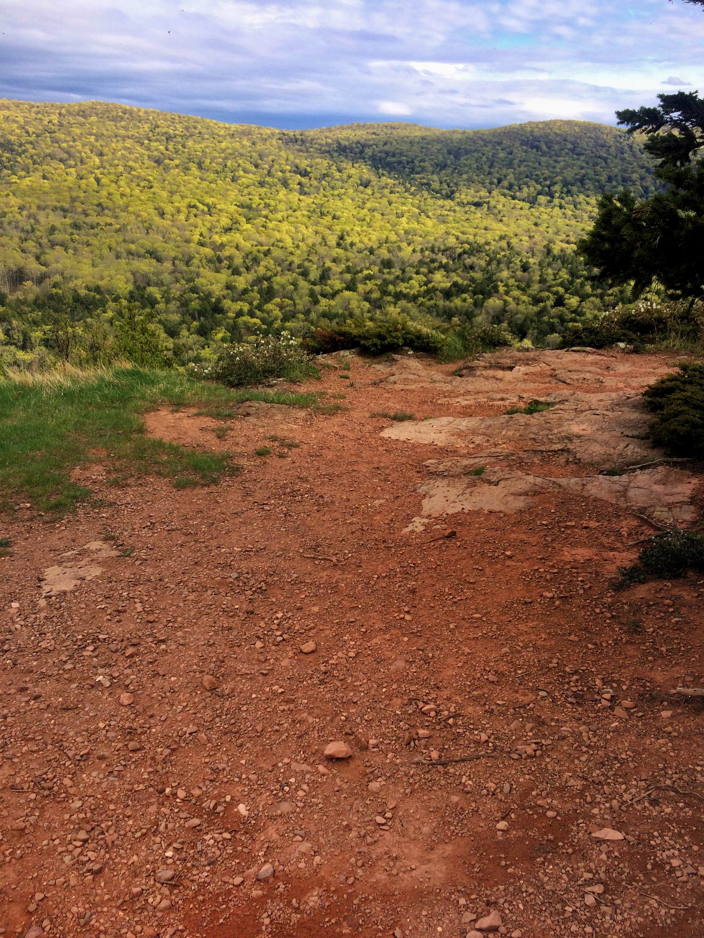 Camper submitted image from Porcupine Mountains Backcountry Camping — Porcupine Mountains Wilderness State Park - 4