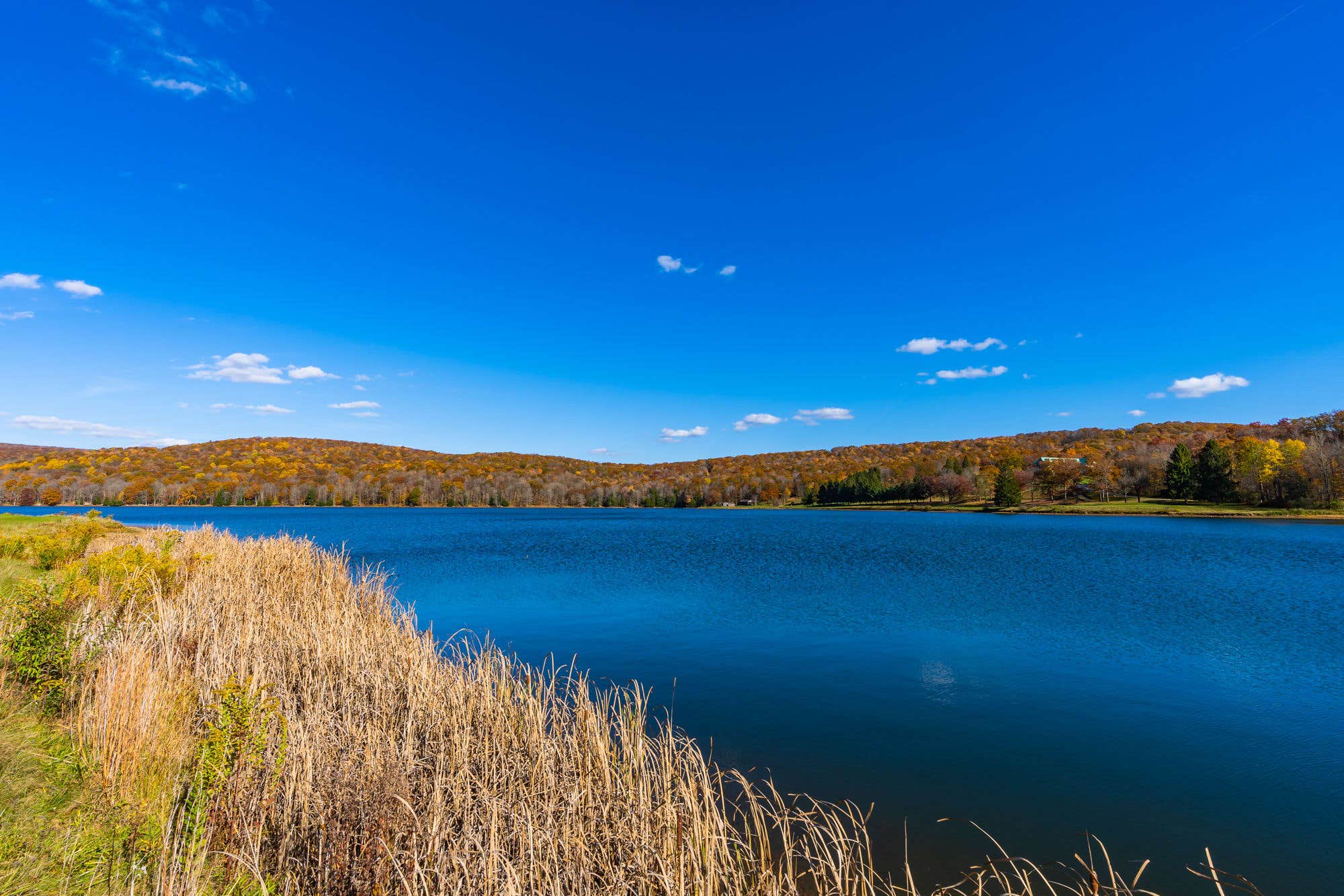 Camper submitted image from Private Lake/Beach w Golf, Fire Pit, Deck & WiFi! - 2