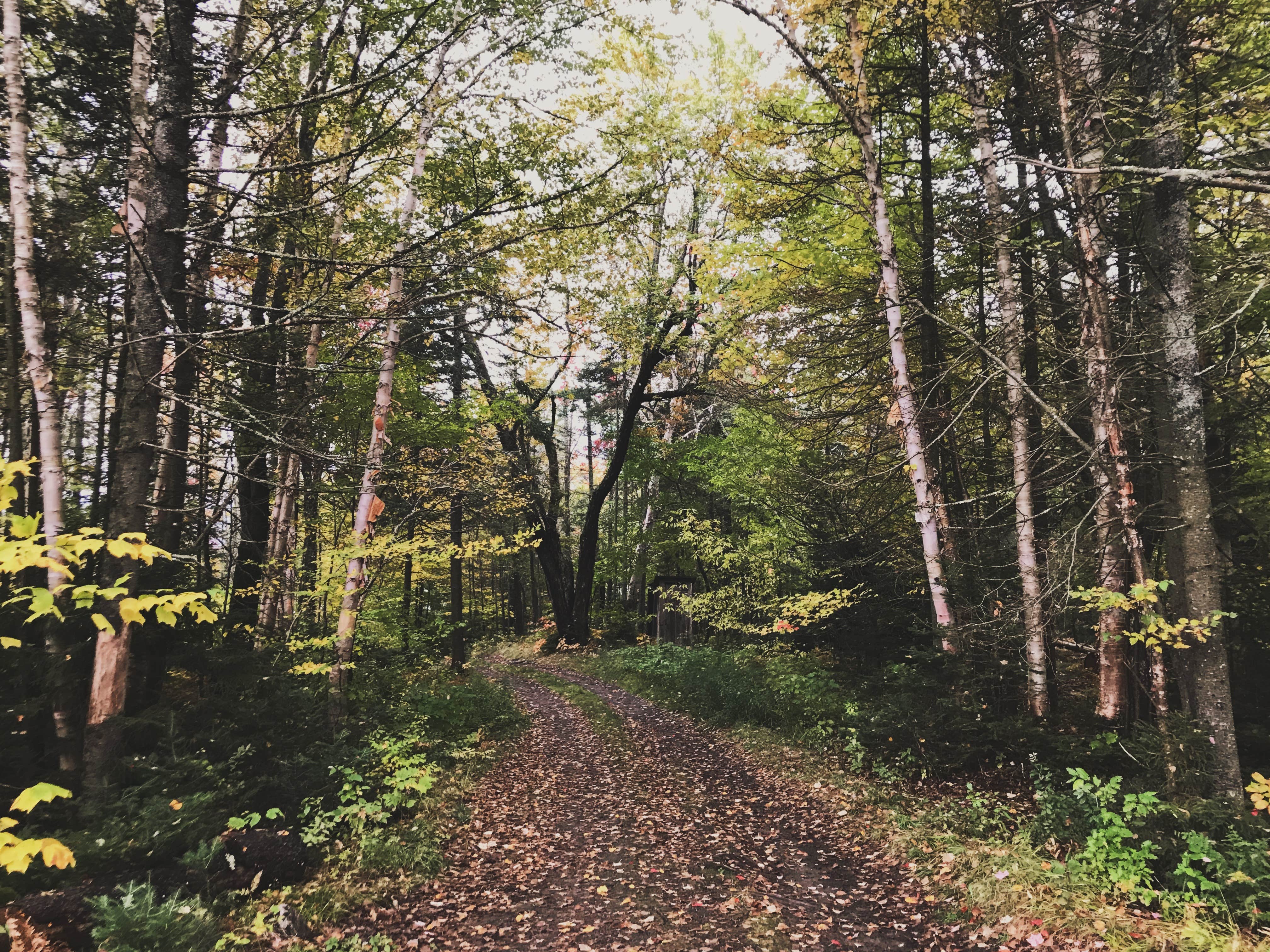 Camper-submitted photo at Cedar River Entrance Camping near Blue Mountain Lake, NY