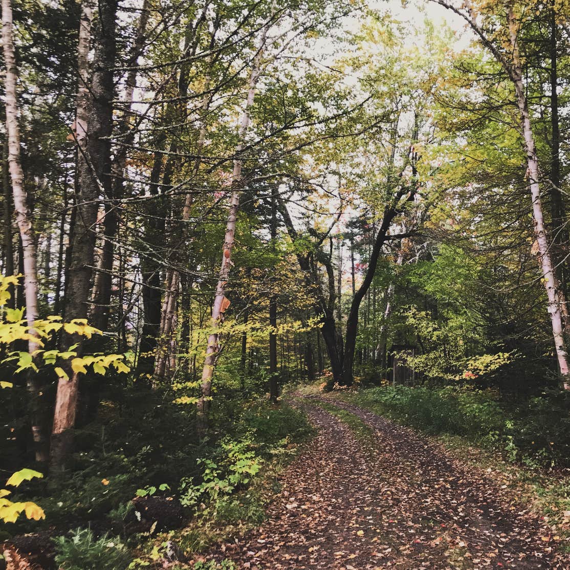 Cedar River Entrance Camping Speculator, NY