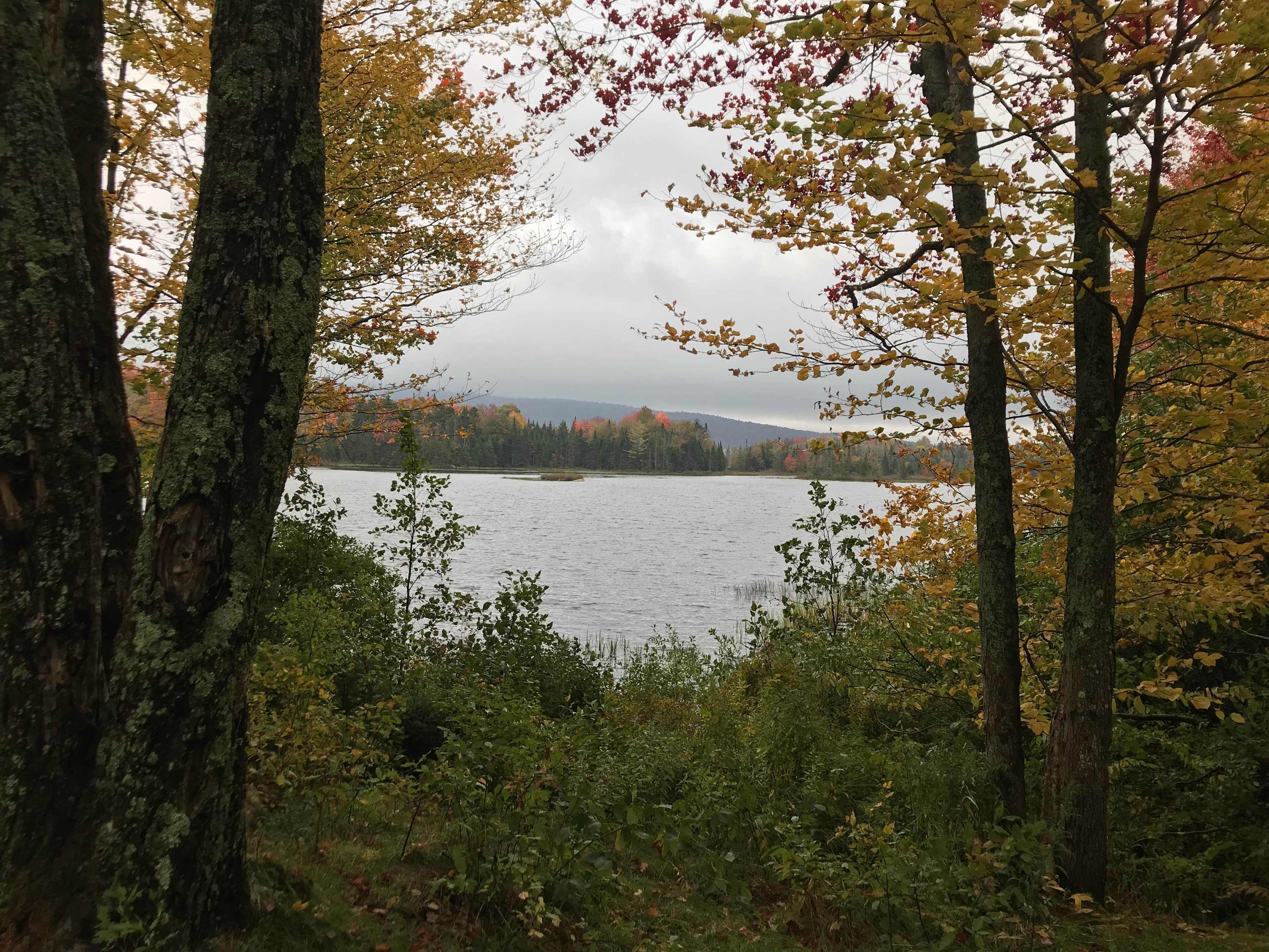 Cedar River Entrance Camping